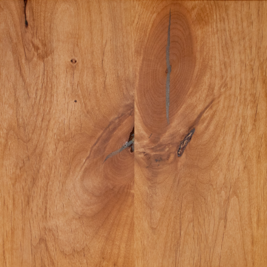 Alder